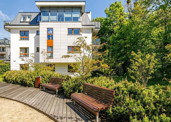 Aquarius - Billberry *